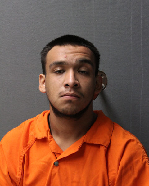 Lesandro Jose Alvizo-Allison